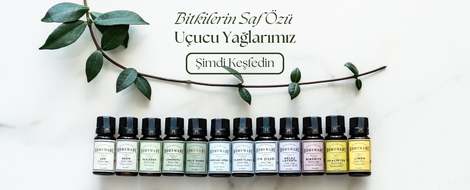 Uçucu Yağlar